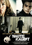 White Rabbit poster