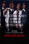 The Newton Boys poster